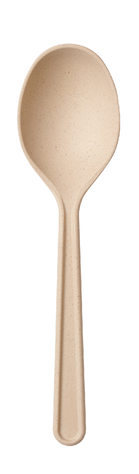 bamboo spoon