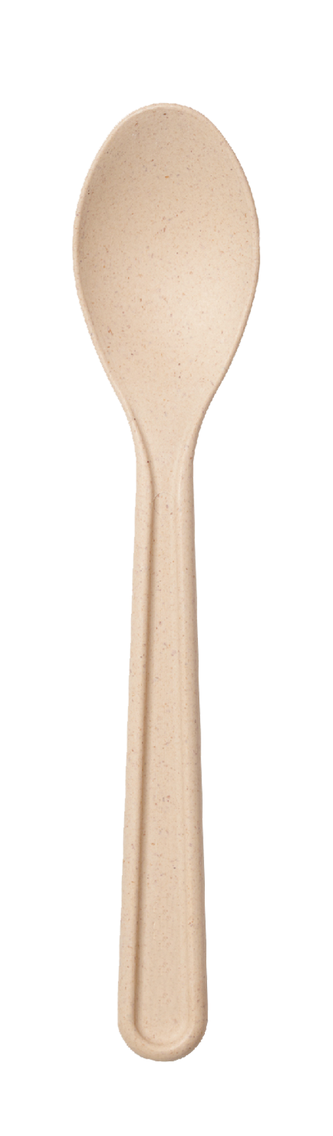 bamboo teaspoon