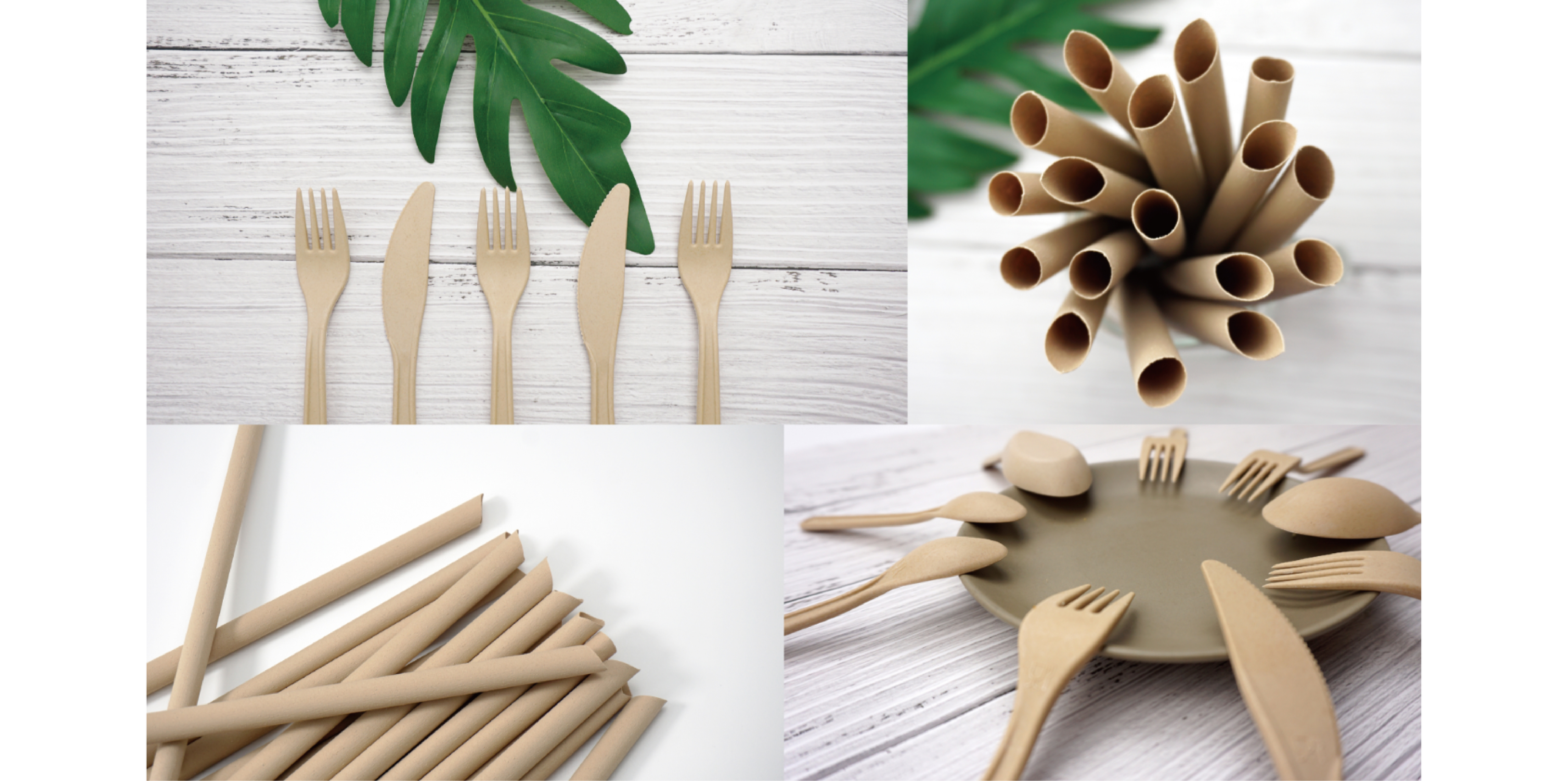 bamboo tableaware product