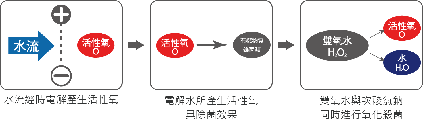 水流經活水器時產生活性氧,活性氧具消滅細菌效果