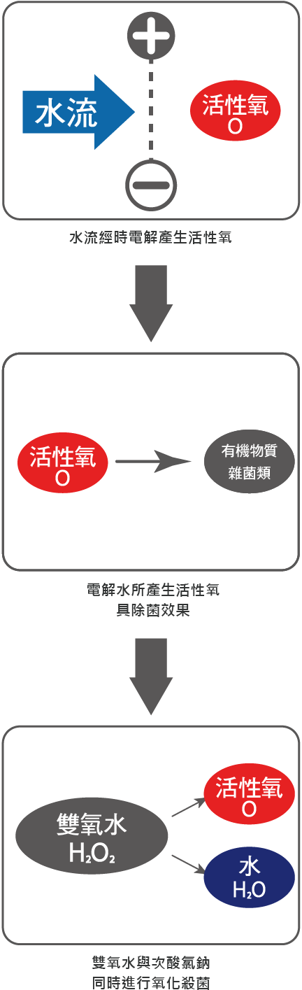 水流經活水器時產生活性氧,活性氧具消滅細菌效果